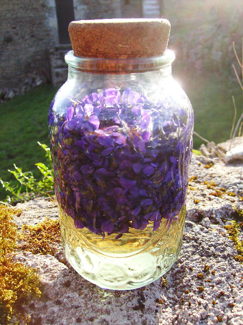 Vin de violette